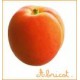 abricot