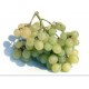raisin blanc italia
