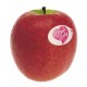 pomme Pink Lady