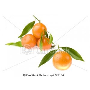 clementine Feuille Espagne