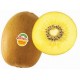 kiwi jaune nouvelle zelande