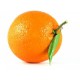 Orange Gamin