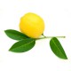 Citron