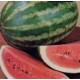 pastèque