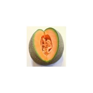 melon france st laurent d'aigouze (environ 1kg)