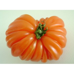 tomate marmande ou coeur de boeuf