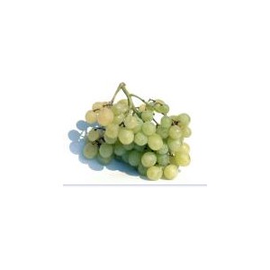 raisin blanc Aledo